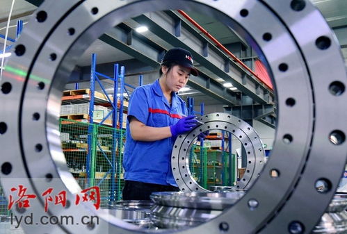 洛阳鸿元轴承科技 深耕精密轴承研发，以卓越技术开拓全球市场